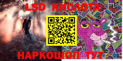 винт Новозыбков