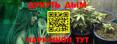 винт Новозыбков