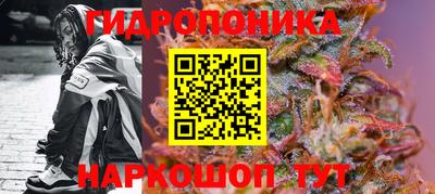 соль ск Новокубанск