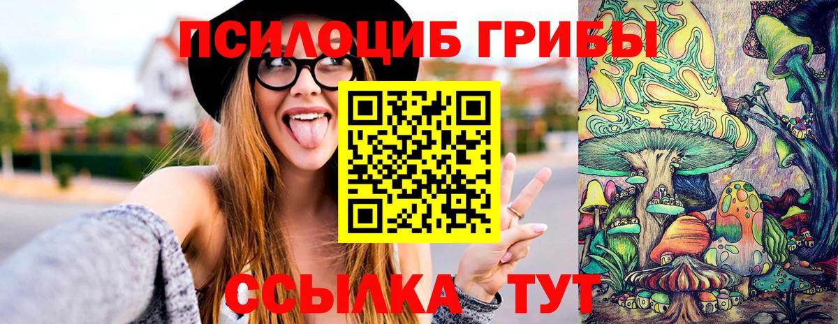 Фрязино  Псилоцибиновые грибы GOLDEN TEACHER  Вход с VPN  Галлюциногенные грибы мухоморы 