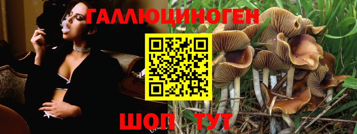 Псилоцибиновые грибы ЛСД Фрязино